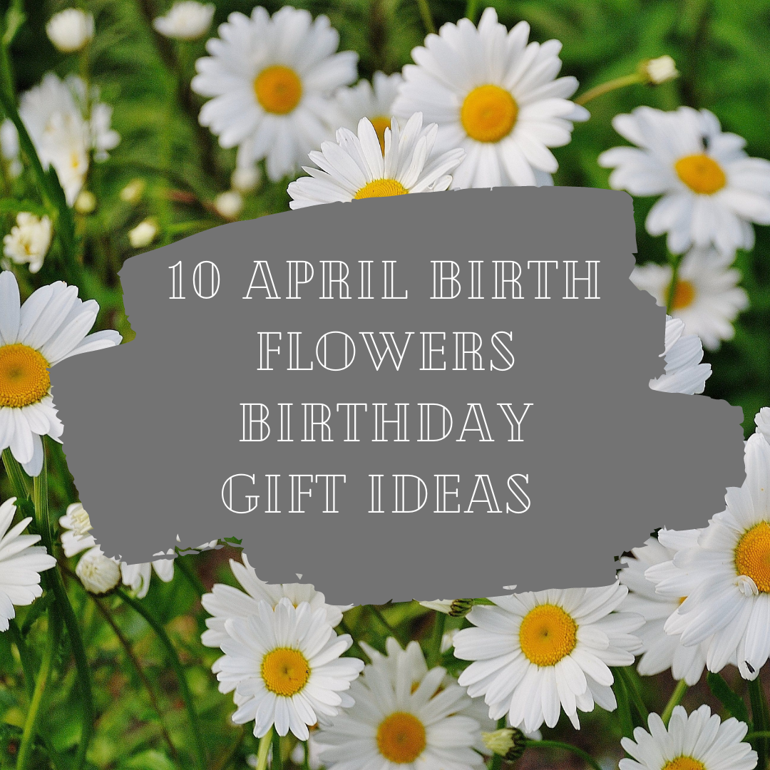 10 Unique April Birth Flower Birthday Gift Ideas