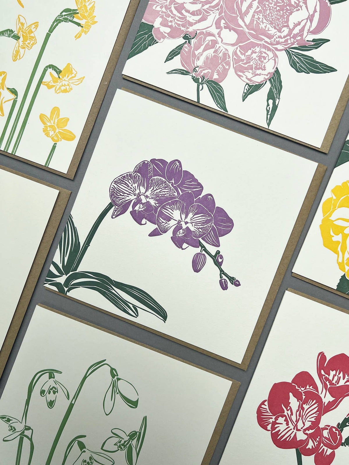 Purple Orchid Letterpress Card