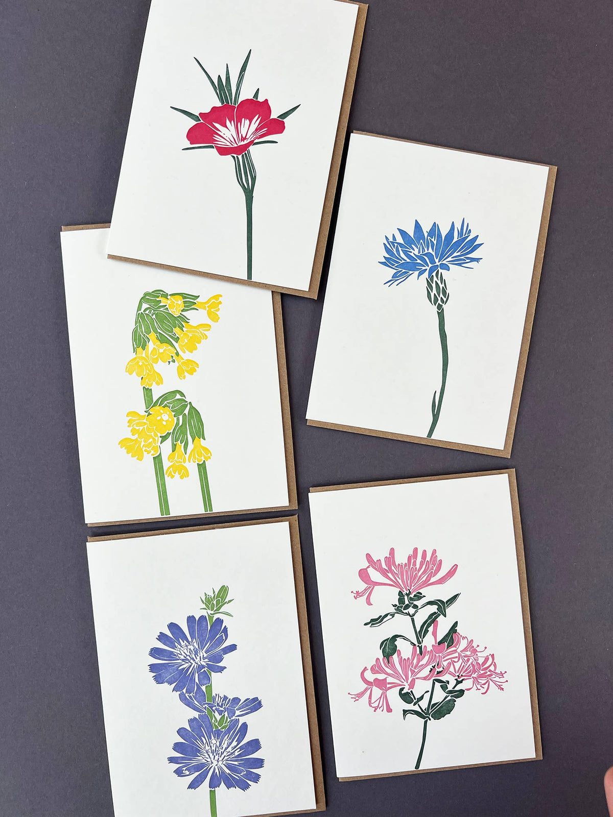 Honeysuckle  Letterpress Card | Flower Card | Birthday Card