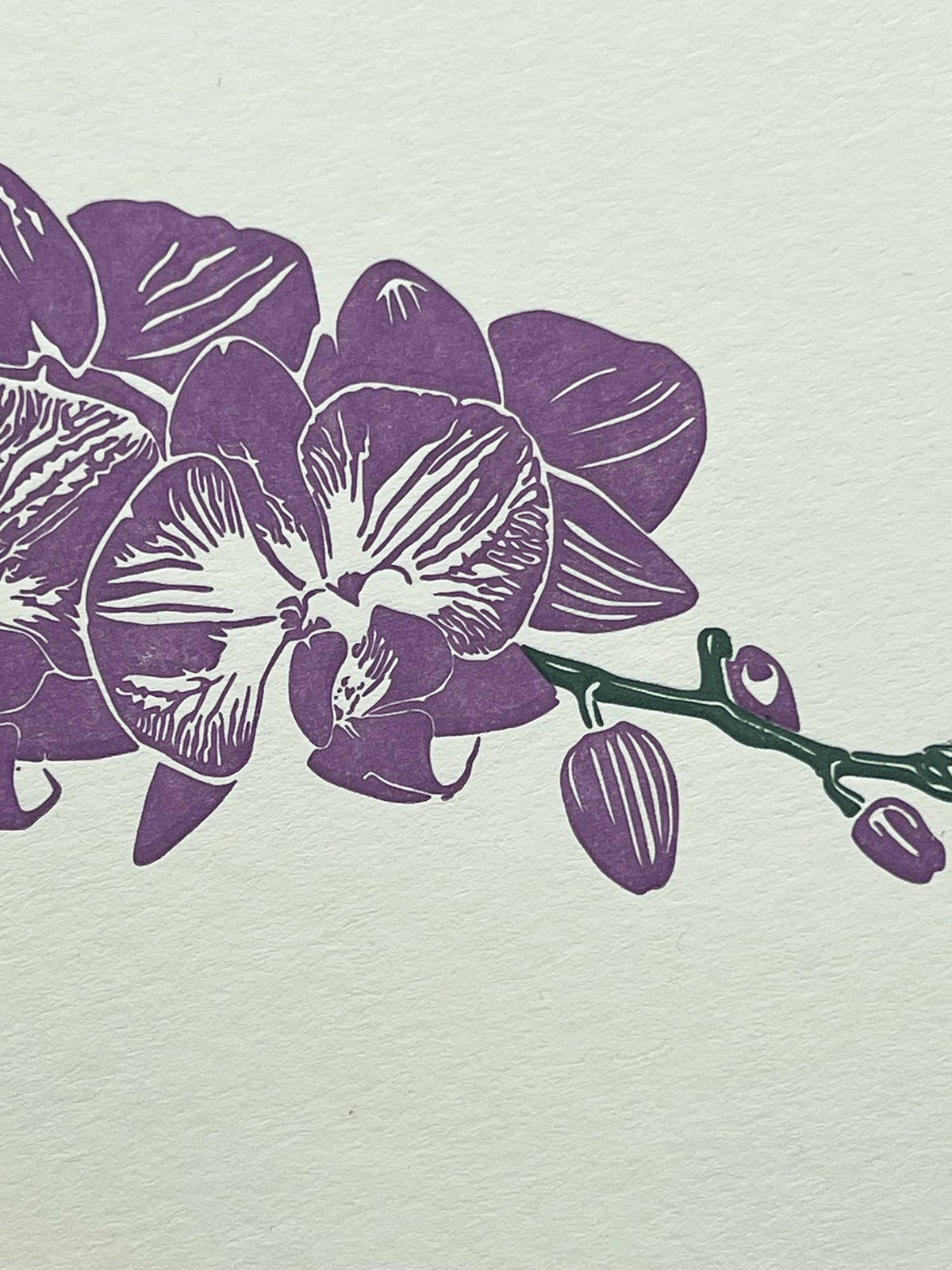 Purple Orchid Letterpress Card