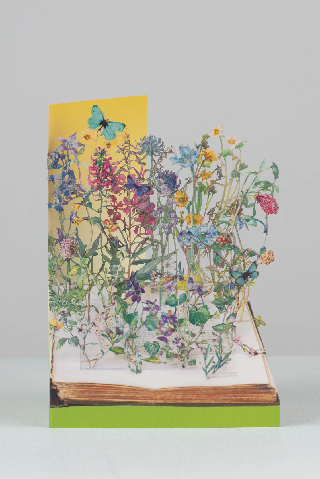 wild flowers laser-cut greetings card by su blackwell for roger la borde