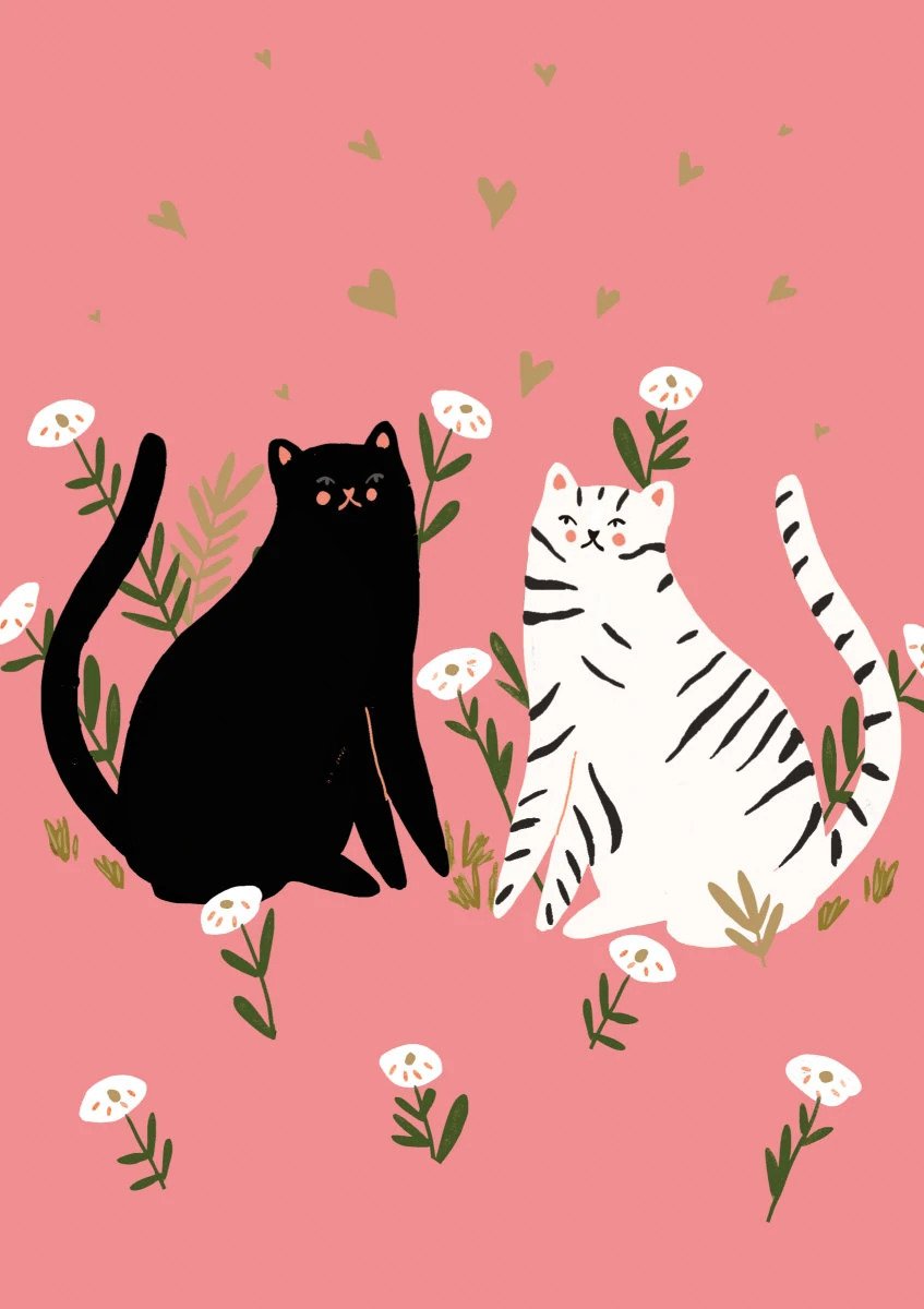 Greetings card with pink background with images of white and black cats