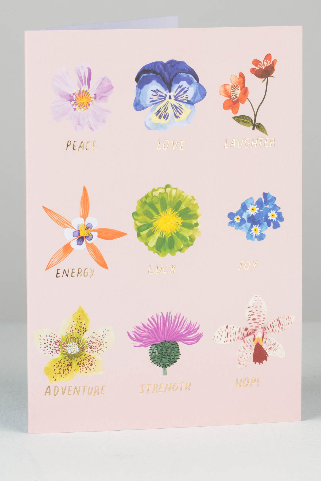 Greetings card with a pink background and illustrations of nine different flowers