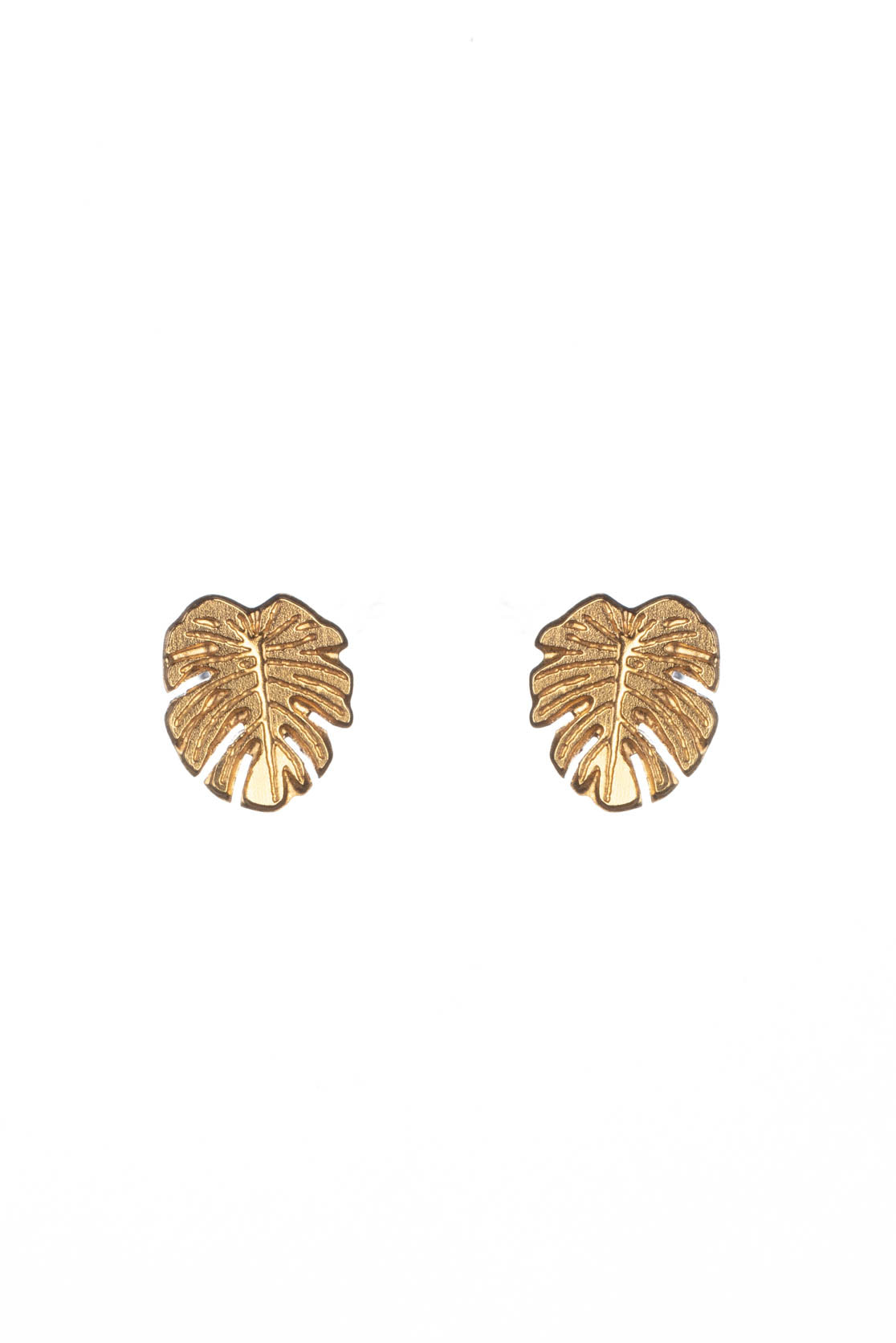 Monstera leaf stud earrings